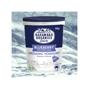 Barambah Blueberry Yog 500g