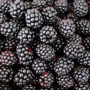 Blackberries 1Kg