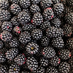 Australian Blackberries 1Kg