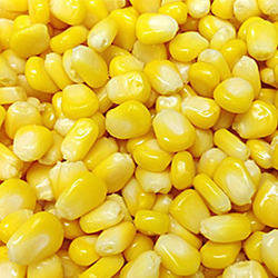 Sweet Corn Kernels 1kg - Country Corn