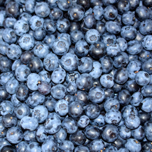 Australian Blueberries 1kg