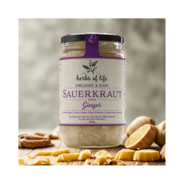 HOL Org Ginger Sauerkraut 600g